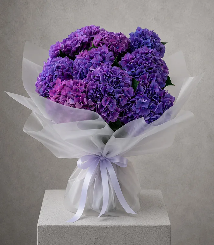 Violet Dream